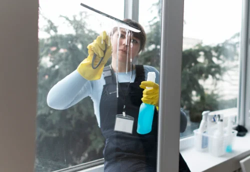 Nettoyage de vitres intérieures et extérieures à Chamelet